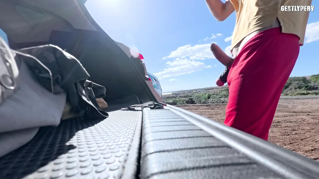 A cuckold guy offers me his wife in a public parking lot.