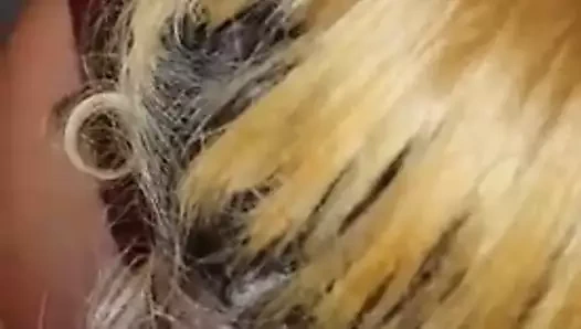 tıknaz mamma: ev yapımı amatör berbat büyük horoz