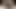 Yengem bet'i arayıp ona daha sert Gerçek Ev Yapımı Amatör Video vermemi istedi
