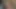 KEDİ olduğunu her zaman aç için ham horoz