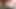 Bangladeşli ateşli seks videosu