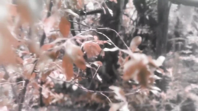 Asher Quinn'in ateşli bir rüyası var!