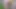 Üvey kardeşim işemeye gitti ve ben bir video çektim!