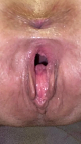 Salatalık şaşkın kedi delik