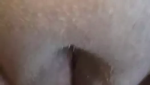 Bir kediyi doğru şekilde tedavi etmek