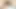 Hintli sevimli genç kız 18+ sert sikiş okuldan eve geldikten sonra ilk kez üvey erkek kardeşi tarafından sikiliyor. HQ XDESI.