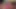 Pornstarplatinum orta yaşlı seksi kadın joslyn james lily cade ile oral seks yapıyor