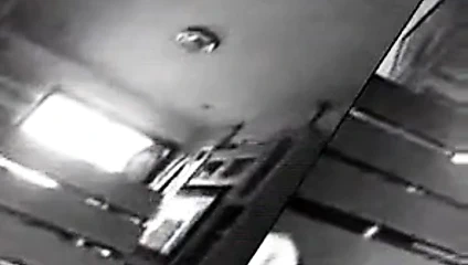 Tay öğrenci var eğlenceli 01