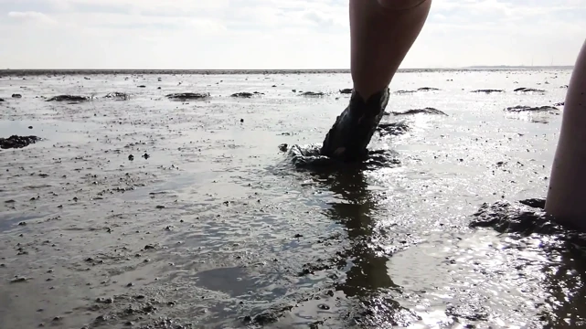 Wangerland'ın Wadden Denizi'nde Güzel Çoraplarla