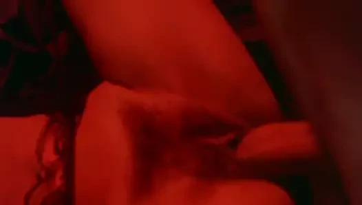 Pamela mann ve blake palmer (mavi tilki yemek 1983) - mkx