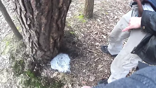 Ağacın altında büyük bir su birikintisi birlikte işeyen iki arkadaş