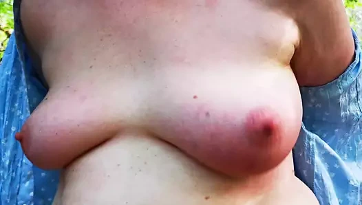 Bir ağaca bağlı ve baştankara eğitim