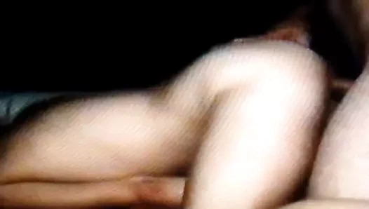 lanet the eş köpek stili