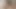 Köpek yavrusu yarak emiyor