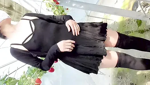 Mayu no.45 çilek avına maruz kalma, hemen oral, yutma özel