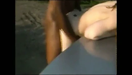 Sobre el maletero del coche