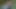 Kaslı baba halka açık bahçede prezervatifsiz