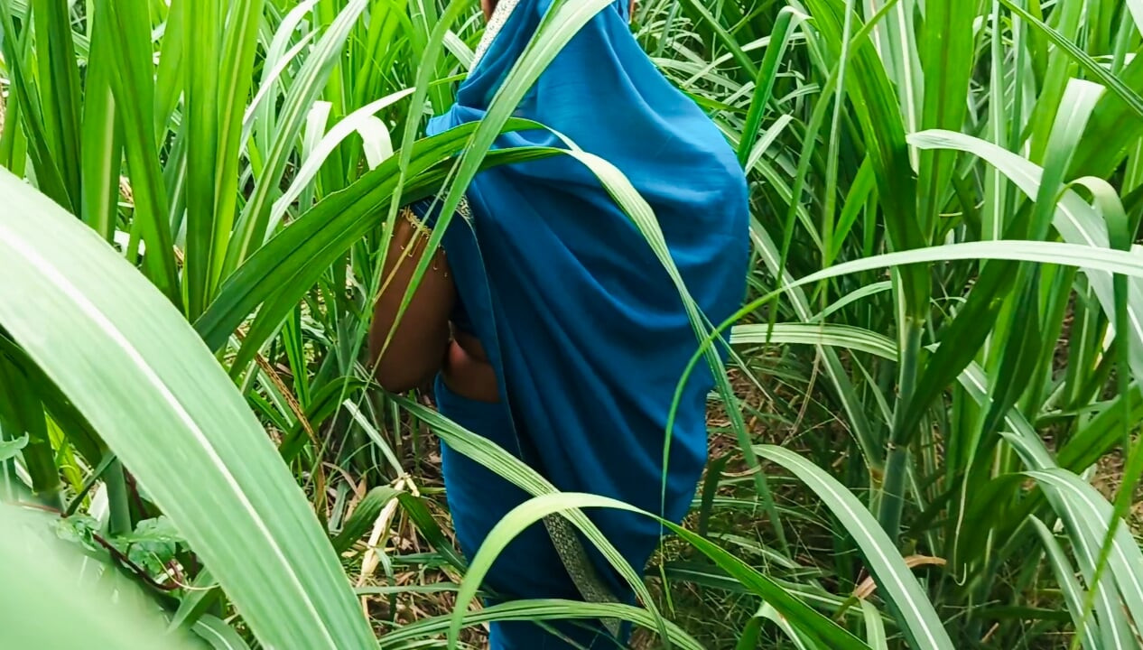 Hintli kadın ki chudai'nin ağzına boşalıyor ve Hintli porno videosunda şeker kamerun tarlasında sikişiyor