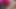 Pembe külotlu çorap iffet içinde taşak atıyor!