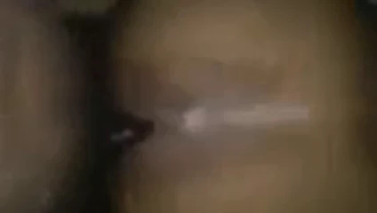 anal köpek oyuncak