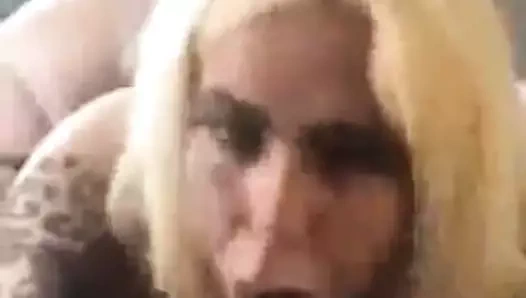 Daphne cesaret kolları bbc ile ona küçücük kedi