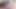 Seksi lacey duvalle kedi yaladı tarafından dik shorty mac