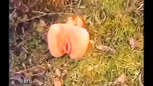 Bir kölenin itaatkarı