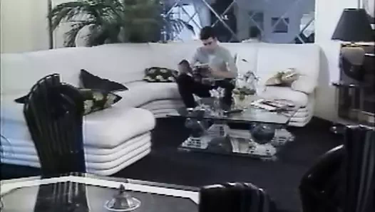 Dans L'Cul ... Lulu ! (1993)