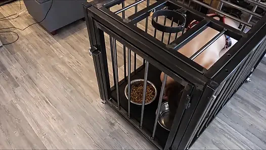 24/7 Содержание раба в клетке в повседневной жизни