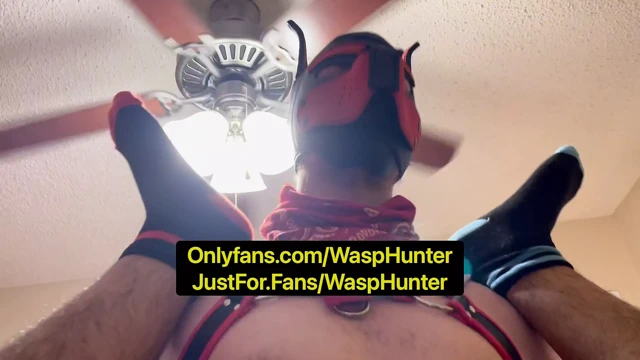 Pov: alfa yavrusu sizi doğurur