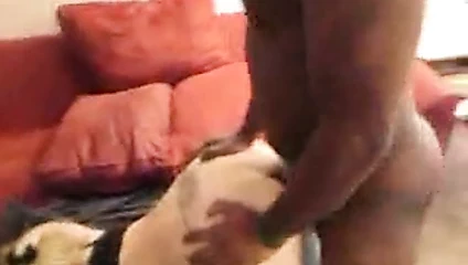 Bazes ev hanımı 1520