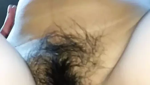 ıslak kıllı Latin KEDİ