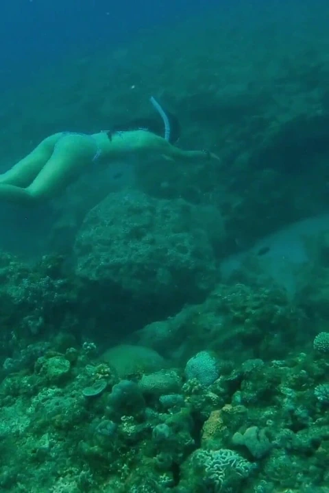 Küçük deniz kızı