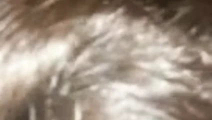 Yatakta oral seks 1 arasında 2