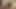 Amy brook, aleksa nicole, christie stevens, ron jeremy pornstars pussy fuck, sarışınlar, esmer, alay, bikini, tease#3