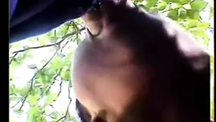 olivia'nın en iyisi