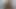 Kirli flix - katalina fabrikaları - sıcak latina kedi için test çalıştırması