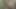 Zenci lezbiyen sürtük ateşli arkadaşı tarafından iyi bir amcık yalamanın tadını çıkarıyor