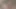 Büyük siyah yarak sığ pembe amcığın derinliklerine iniyor