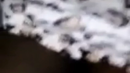 Eski candice'in şişman bir kıçı var