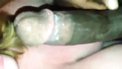 Pawg beni eğmeye çalışıyor