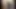 Egzotik kaltak için bir büyük horoz