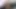4k kızgın köpek yavrusu havlıyor ve tüm odayı kokluyor