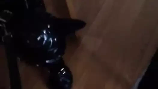 My Rubber Chastity doggy sucking my strap-on