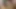 Kız arkadaşımla birlikte emmeyi seviyorum. 4K HD Tim Team
