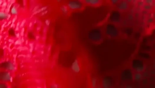 Evli bir Suudi kadın sevgililer günü vesilesiyle kocasının yokluğunda sikiliyor