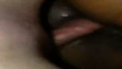 Sıkı kedi. karım aletimi alır.