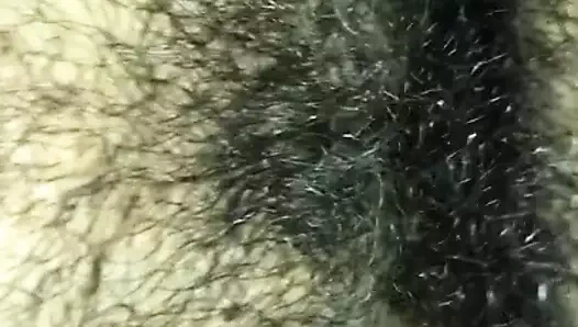 Sıkı kedi creams üzerinde kalın horoz