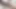bbcpie, çoklu ırklararası damlayan creampies şişmiş