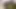 Ekranımın önündeki özel an... (Sert sikiş anal porno videosunun önünde benim büyük Arap horozumun mastürbasyonu)
